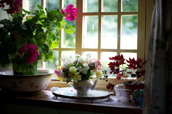 Flowers in the bedroom