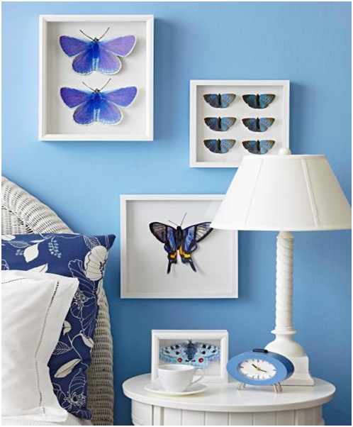 Butterflies Design