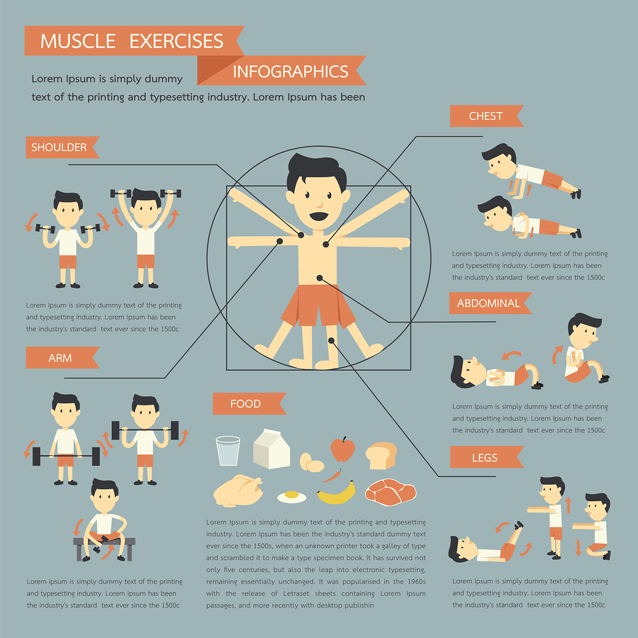 Muscle Exercises Infographics