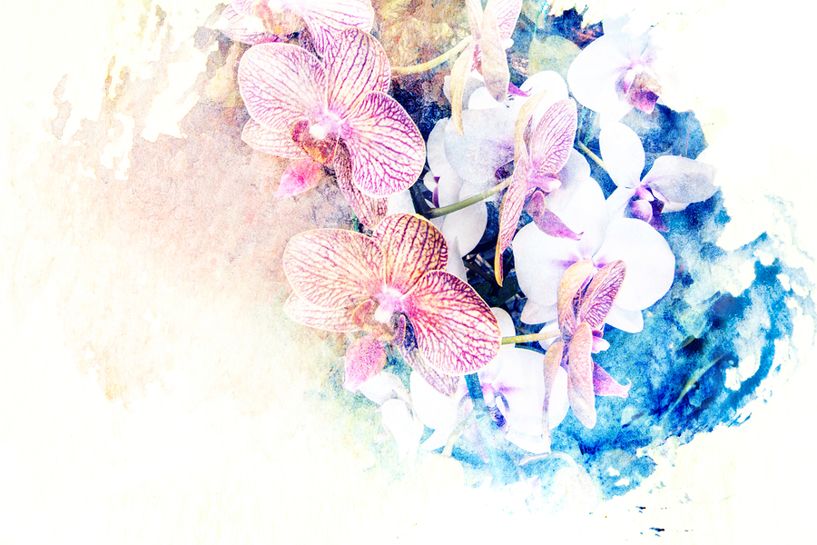 The Orchids Painting