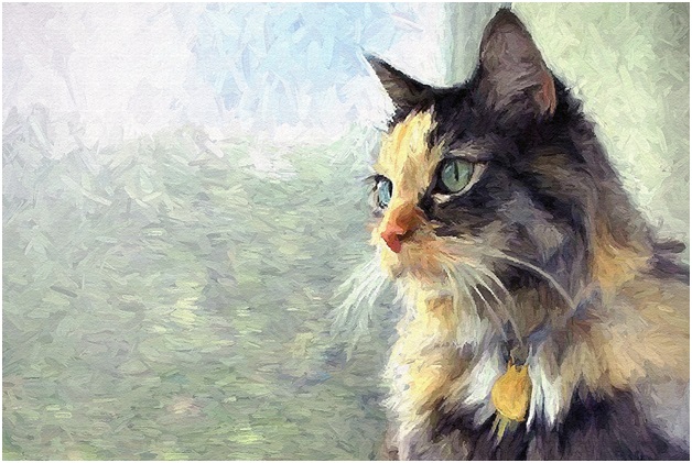 A Cat Oil Painting