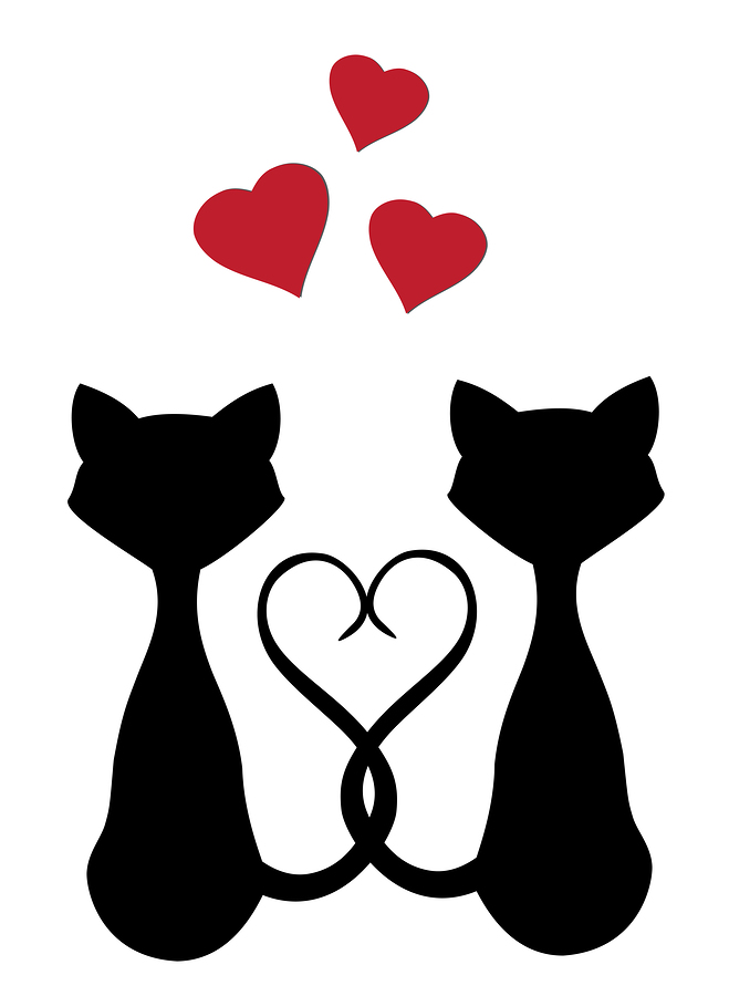 A Cats Silhouettes Poster