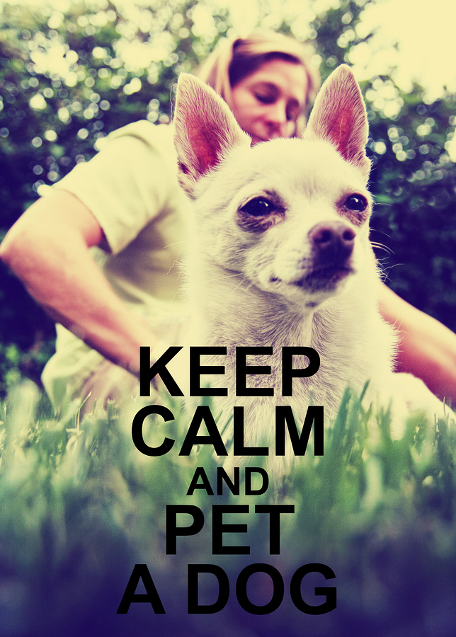 A Keep Calm Poster with a Photo 