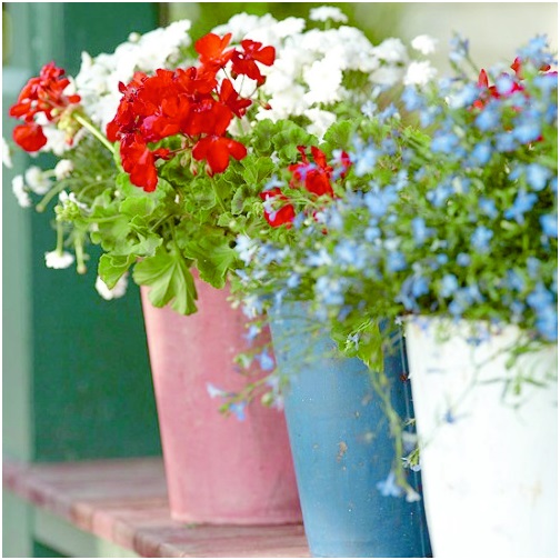 Red, White and Blue Flowerpots