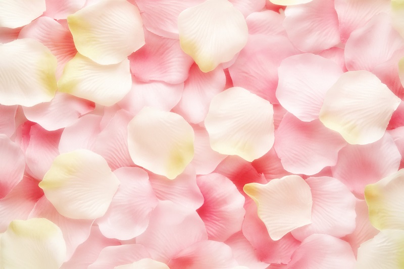 A Rose Petals Poster for Romantic Decor