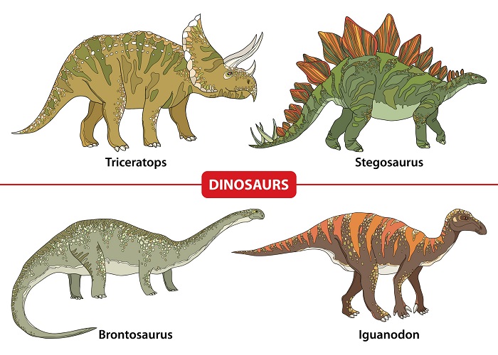 A Dinosaur Poster