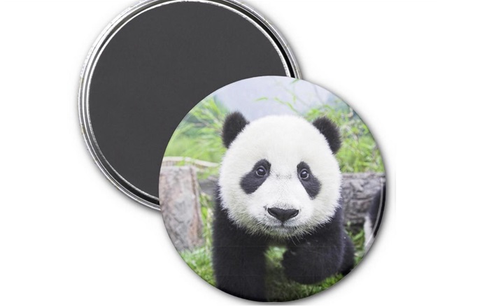 A Panda Magnet
