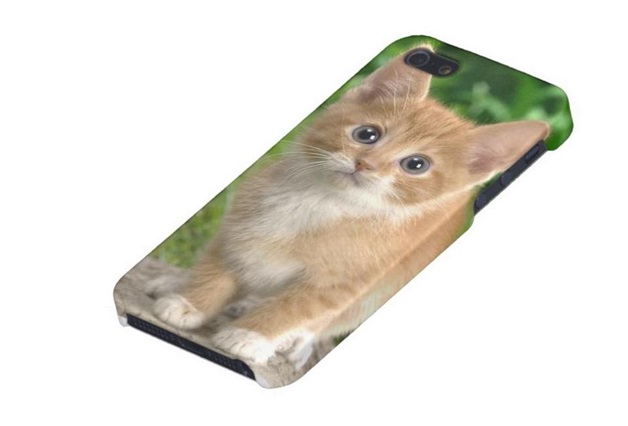 A Kitten Print for iPhone 5 Case