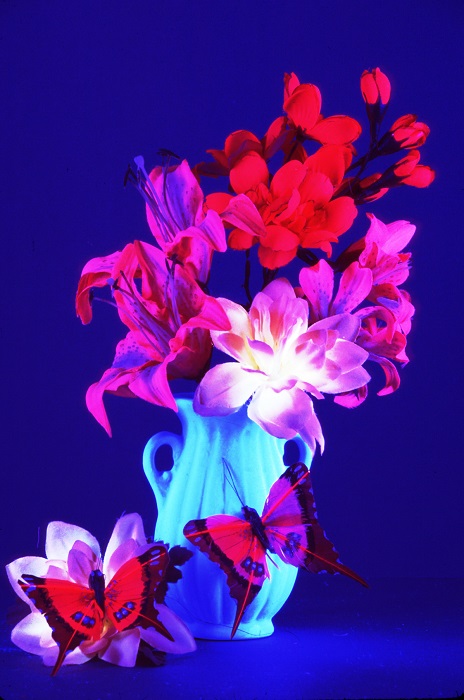 A Blacklight Flowers Poster