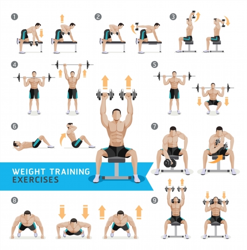 Poster of Dumbbell Exercises and Workouts WEIGHT TRAINING