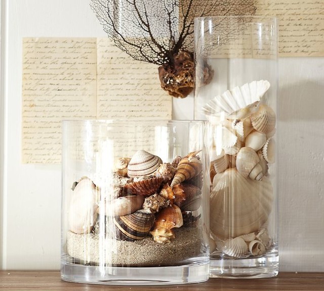 Vases with Shells