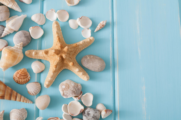 Wooden Wall Art Seashell Shells and Starfish Rhinestones Decoration Beach Theme 